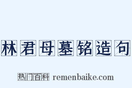 林君母墓铭造句是什么意思的图片